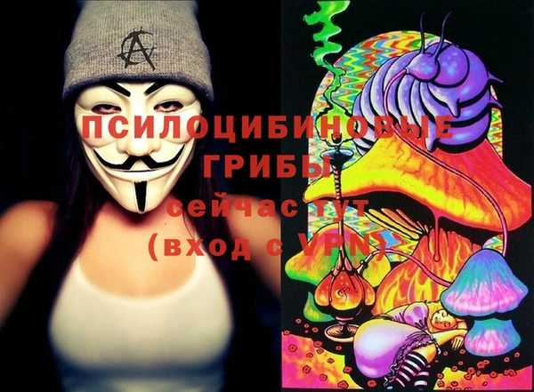 прущая мука Костерёво