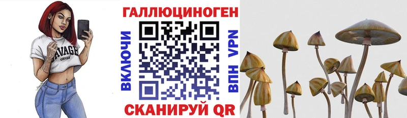 Купить закладки  Краснокамск  Псилоцибиновые грибы ЛСД 